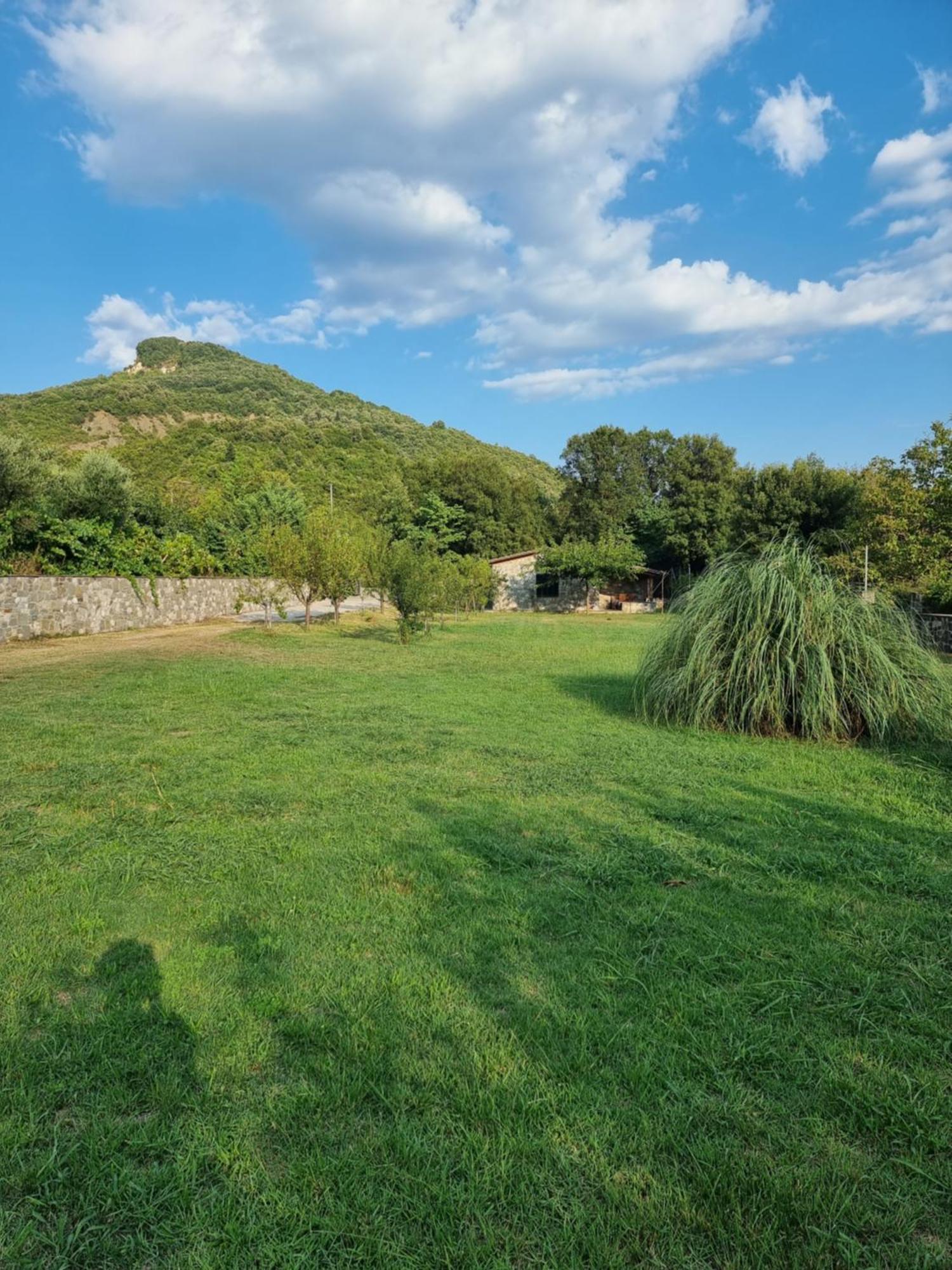 House With Big Garden And Barbeque In Nature Vourgareli Exterior foto